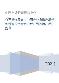 杂石首饰图表 中国产业净资产增长率行业投资潜力分析产品的潜在用户挖掘