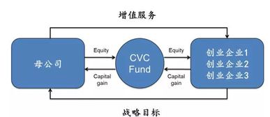 多维资本 产业投资的分类和实践