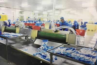 加工日产能超2000吨!强竞农业集团产业园有望彻底改变水产养殖业态