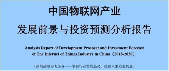2016-2020年中国物联网产业发展前景与投资预测析报告