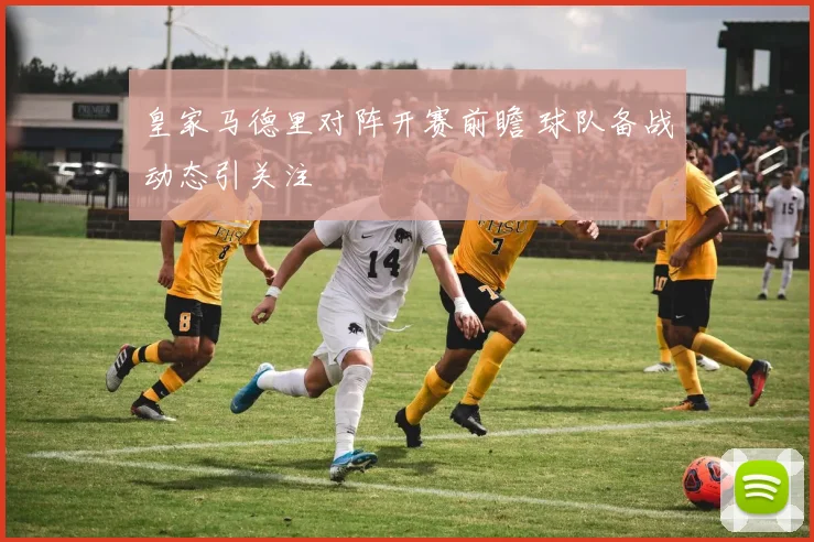 皇家马德里对阵开赛前瞻 球队备战动态引关注