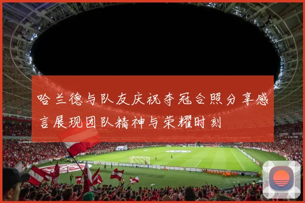 哈兰德与队友庆祝夺冠合照分享感言展现团队精神与荣耀时刻