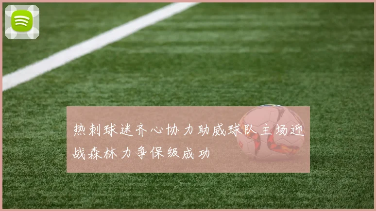 热刺球迷齐心协力助威球队主场迎战森林力争保级成功